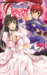 武闘少女姫 桜輝